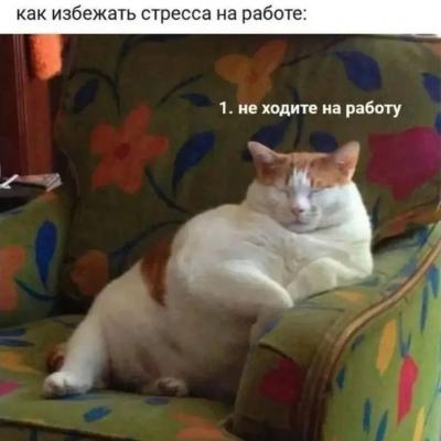 Прикрепленное изображение: 2022-09-30_10-24-11-536.jpg